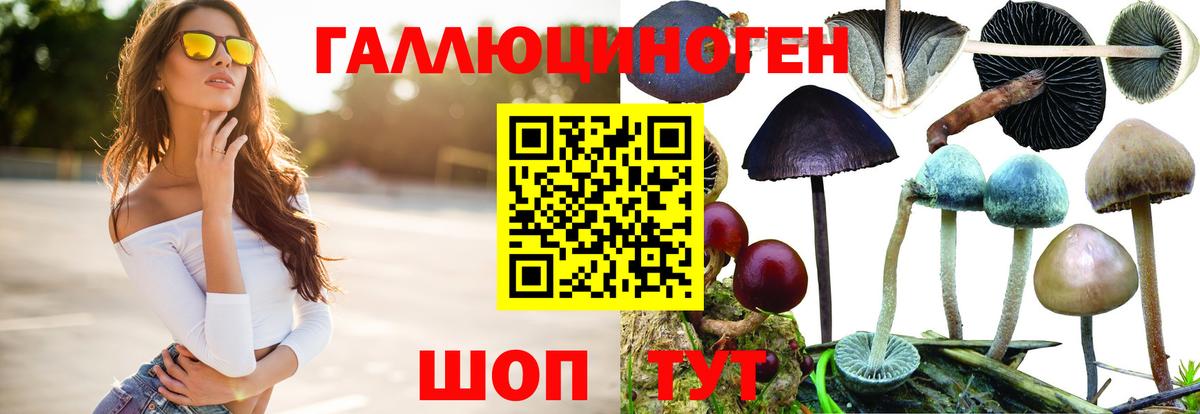 купить закладку  Губкин  Галлюциногенные грибы MAGIC MUSHROOMS 