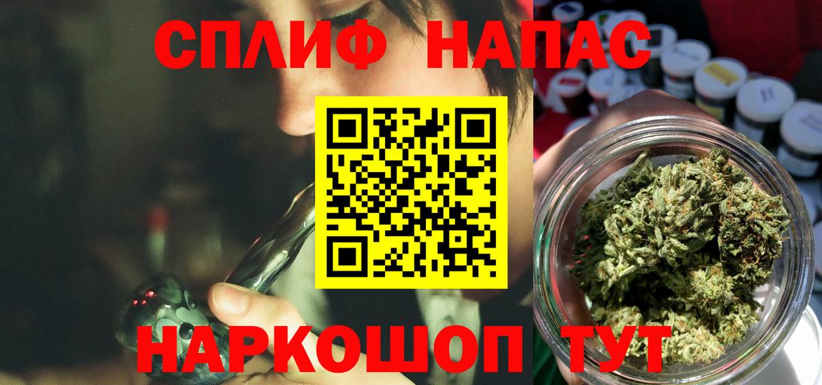 Каннабис планчик  Бошки Шишки SATIVA & INDICA  Губкин  Марихуана MAZAR 